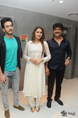 Akhil Movie Success Meet